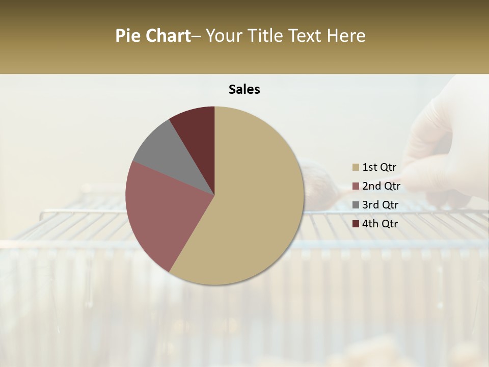 System Supply Remote PowerPoint Template
