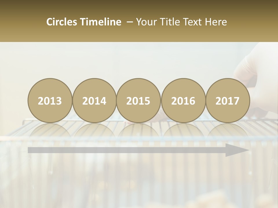 System Supply Remote PowerPoint Template