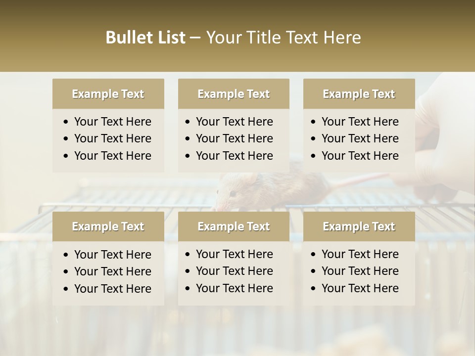 System Supply Remote PowerPoint Template
