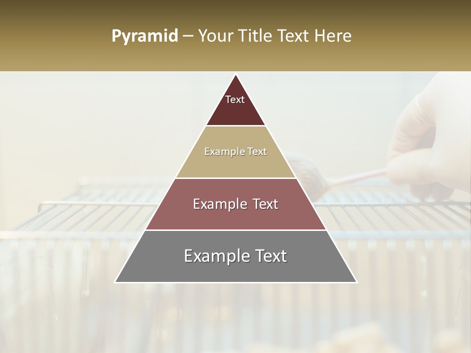 System Supply Remote PowerPoint Template