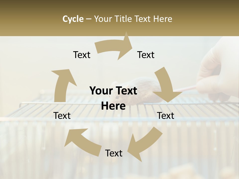 System Supply Remote PowerPoint Template