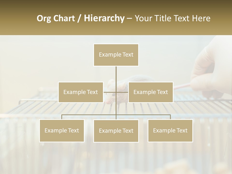 System Supply Remote PowerPoint Template