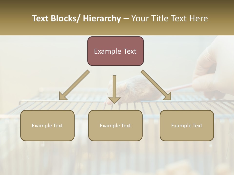 System Supply Remote PowerPoint Template