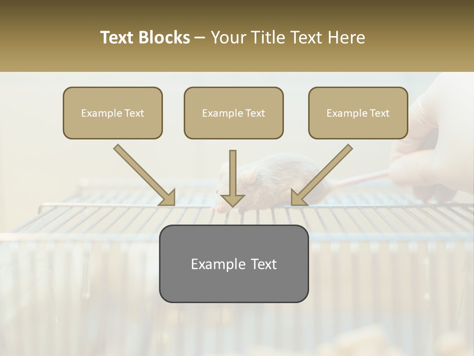 System Supply Remote PowerPoint Template