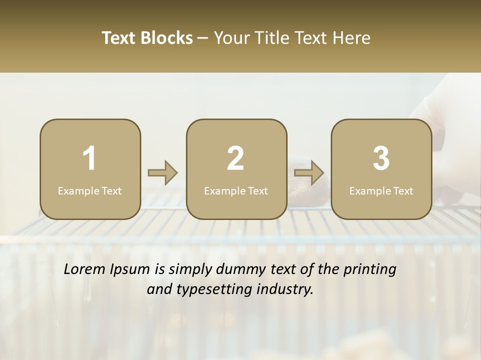 System Supply Remote PowerPoint Template