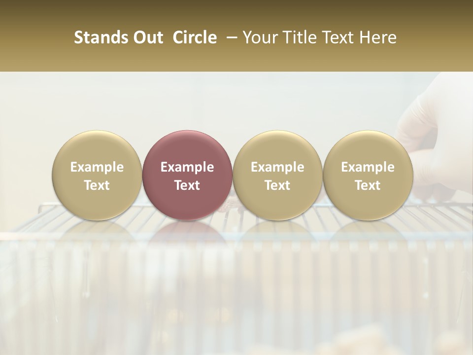 System Supply Remote PowerPoint Template