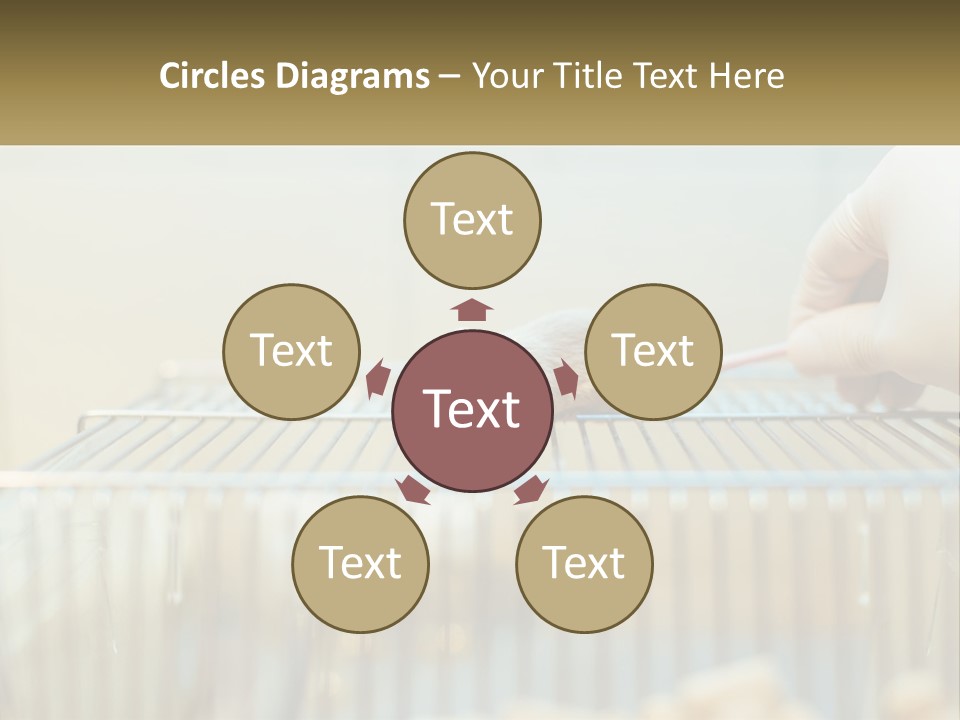 System Supply Remote PowerPoint Template