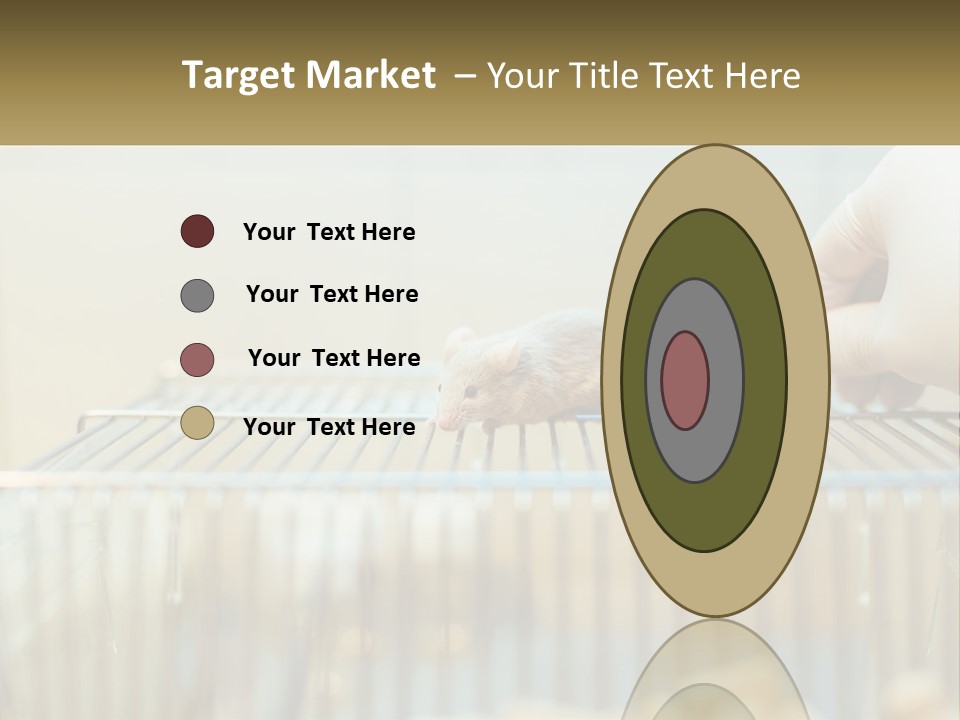 System Supply Remote PowerPoint Template