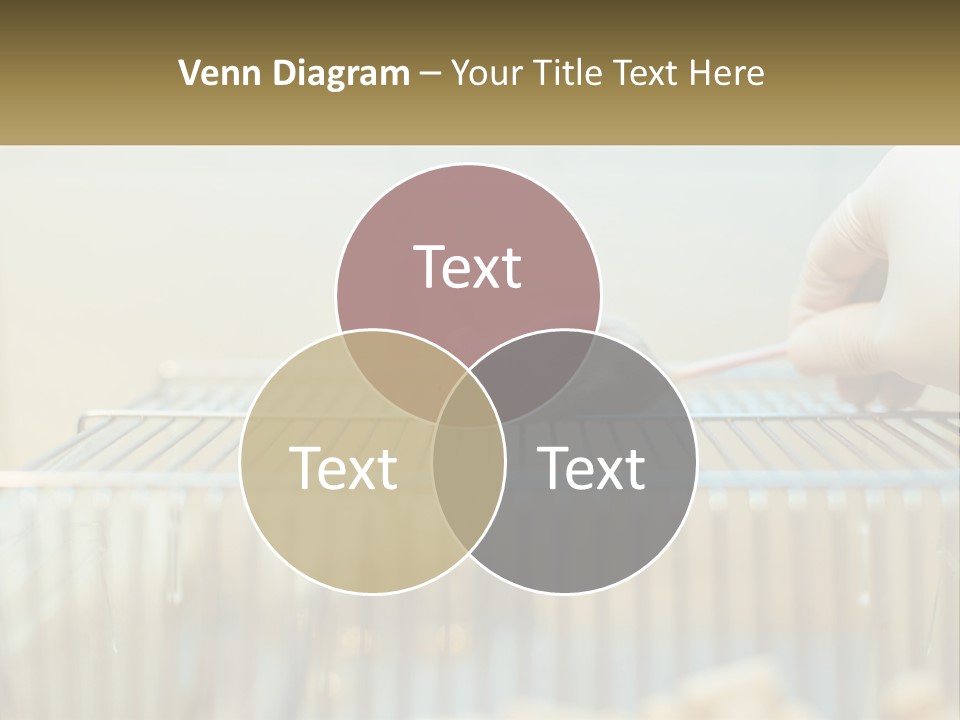 System Supply Remote PowerPoint Template