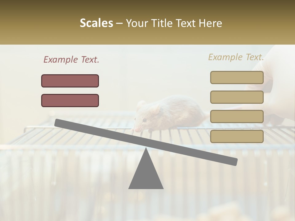 System Supply Remote PowerPoint Template