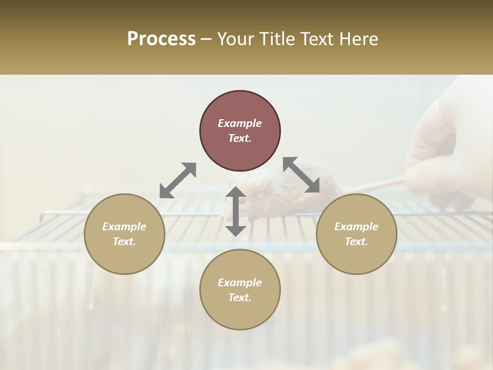 System Supply Remote PowerPoint Template