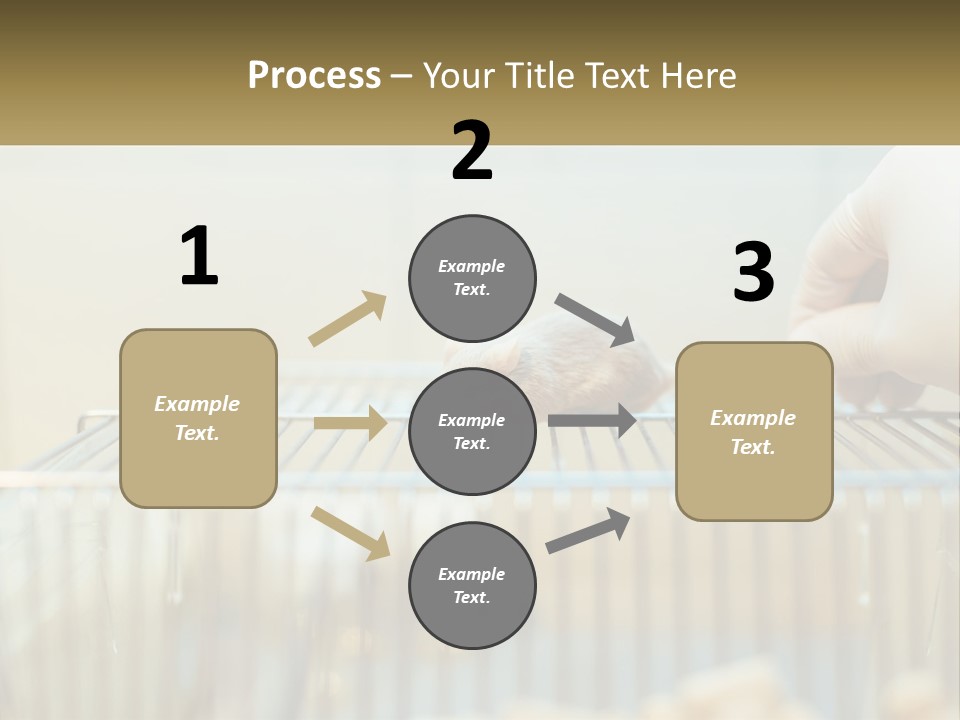 System Supply Remote PowerPoint Template