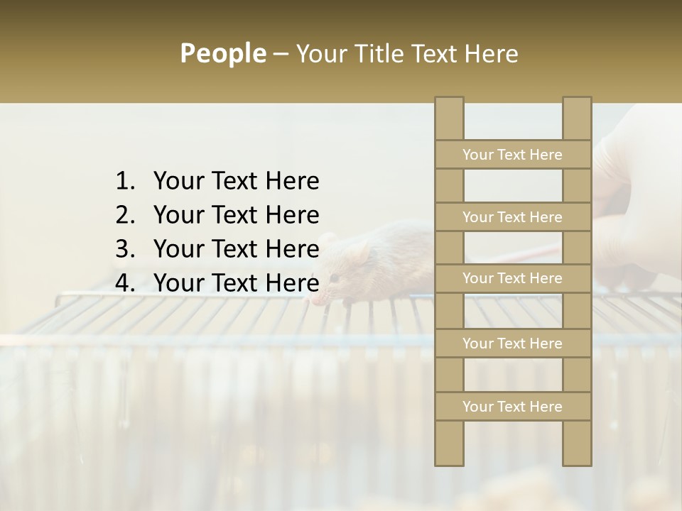 System Supply Remote PowerPoint Template
