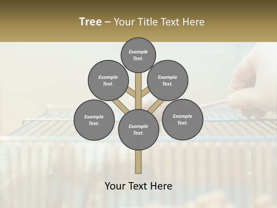 System Supply Remote PowerPoint Template