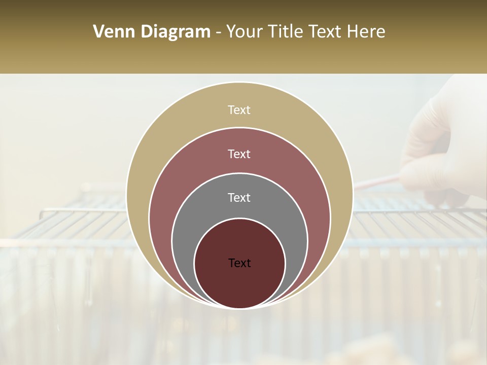 System Supply Remote PowerPoint Template