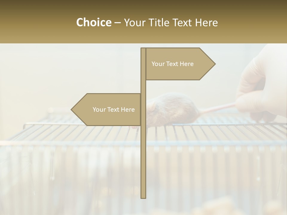System Supply Remote PowerPoint Template