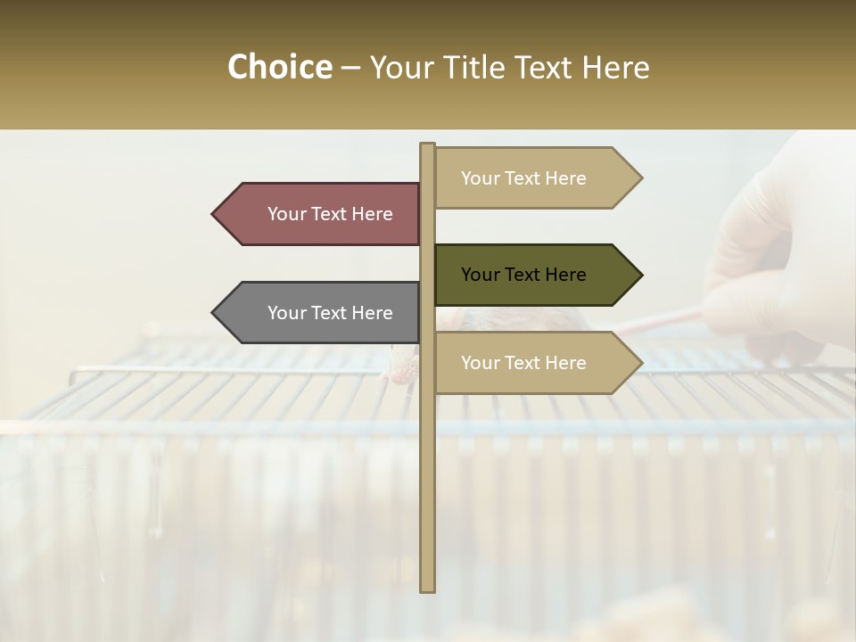 System Supply Remote PowerPoint Template