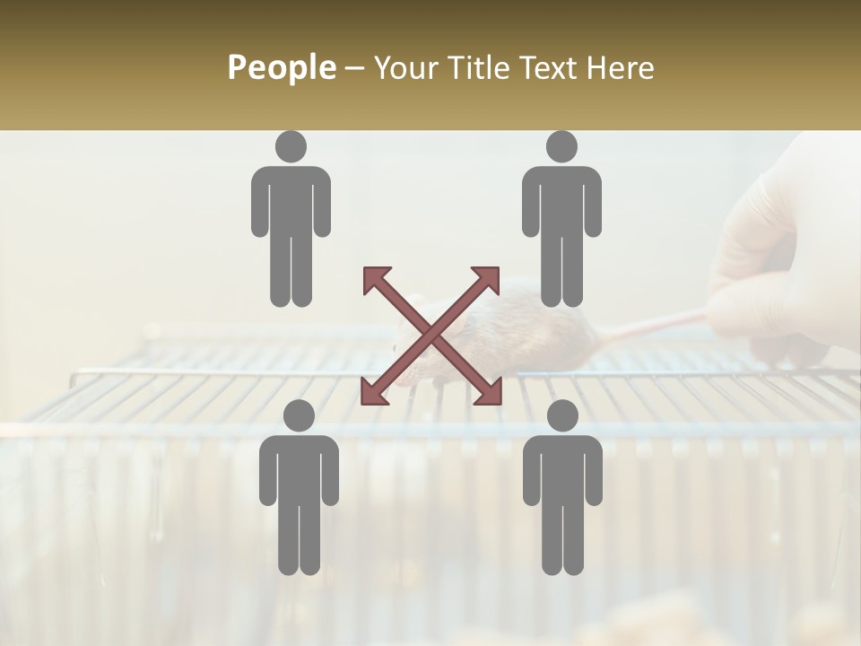 System Supply Remote PowerPoint Template