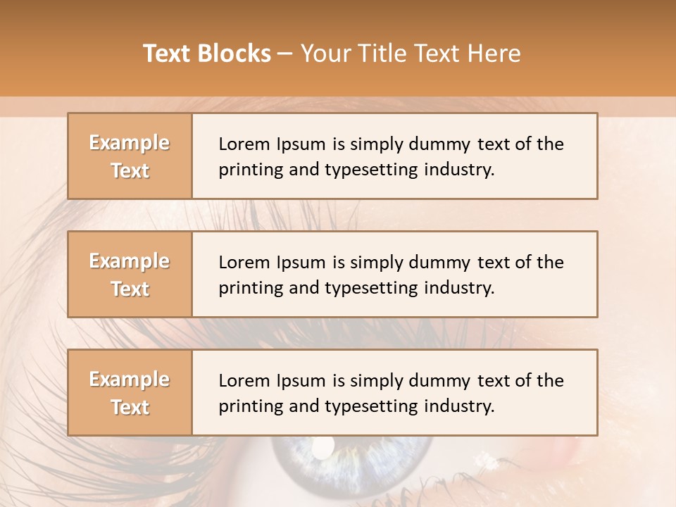 Climate Remote Switch PowerPoint Template