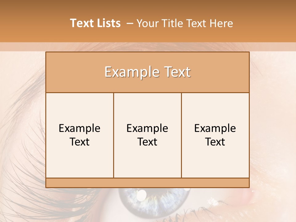 Climate Remote Switch PowerPoint Template