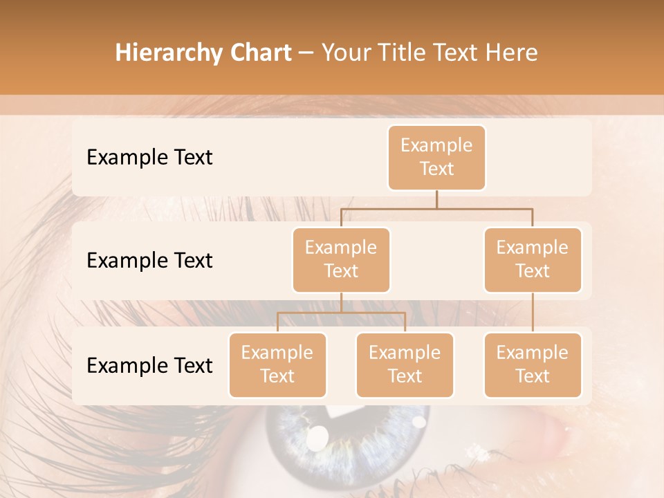 Climate Remote Switch PowerPoint Template