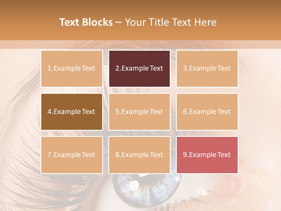 Climate Remote Switch PowerPoint Template