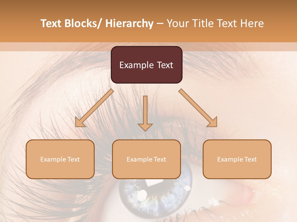 Climate Remote Switch PowerPoint Template