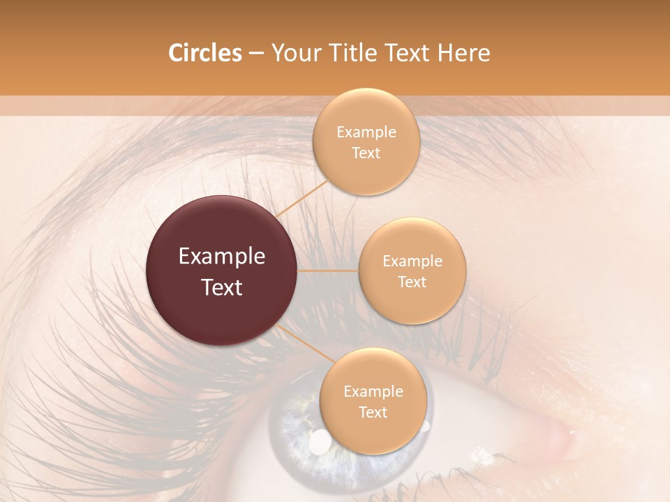 Climate Remote Switch PowerPoint Template