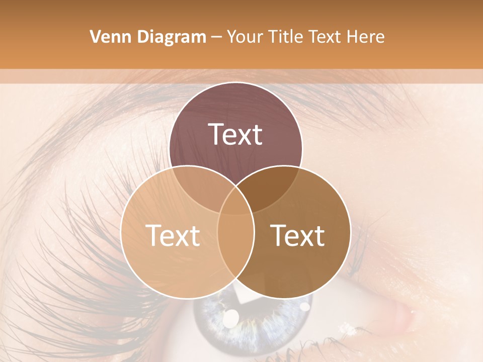 Climate Remote Switch PowerPoint Template