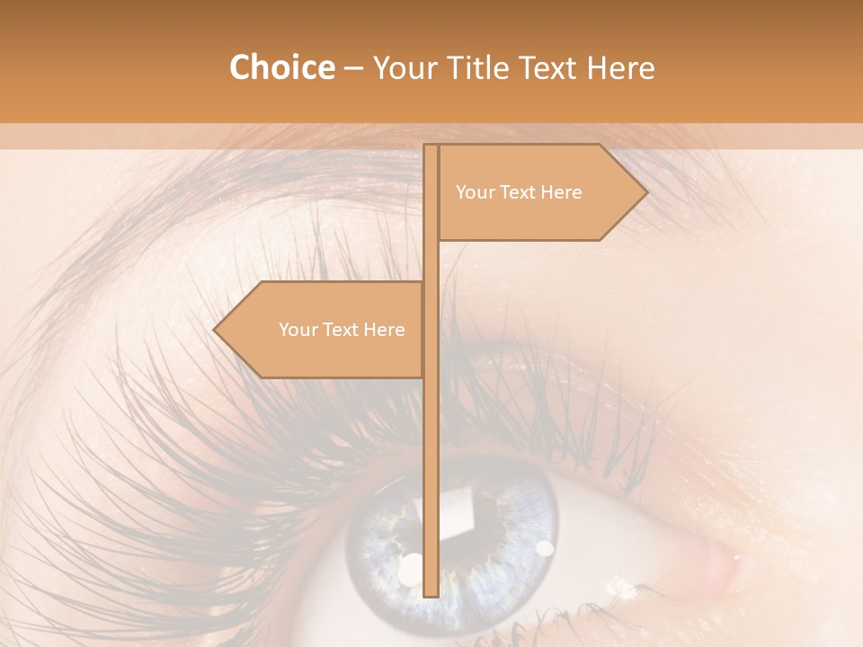 Climate Remote Switch PowerPoint Template