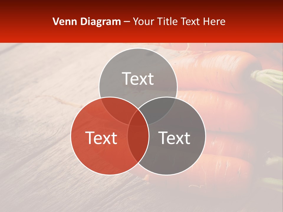 Home System Cold PowerPoint Template