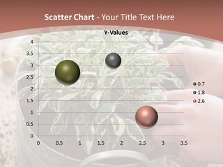 White Industry Climate PowerPoint Template