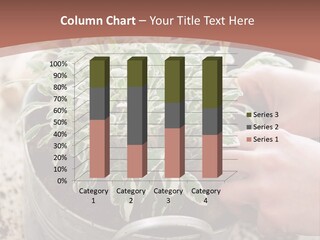 White Industry Climate PowerPoint Template