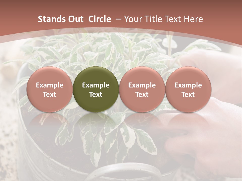 White Industry Climate PowerPoint Template