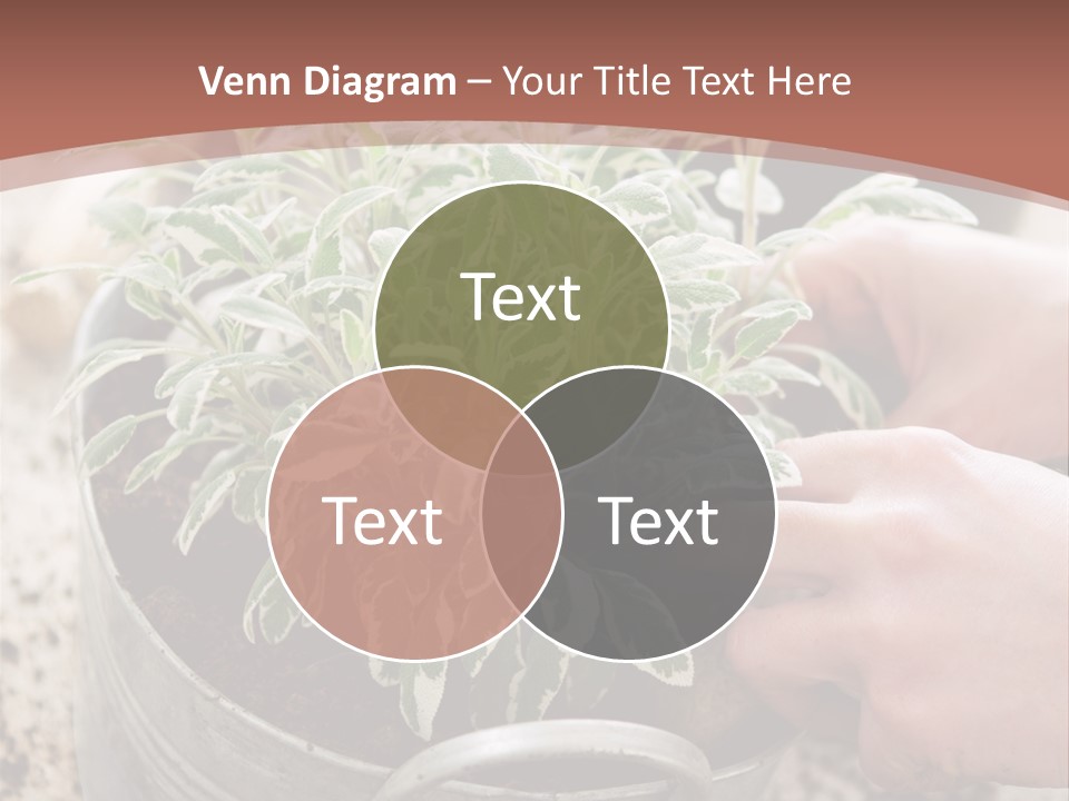 White Industry Climate PowerPoint Template