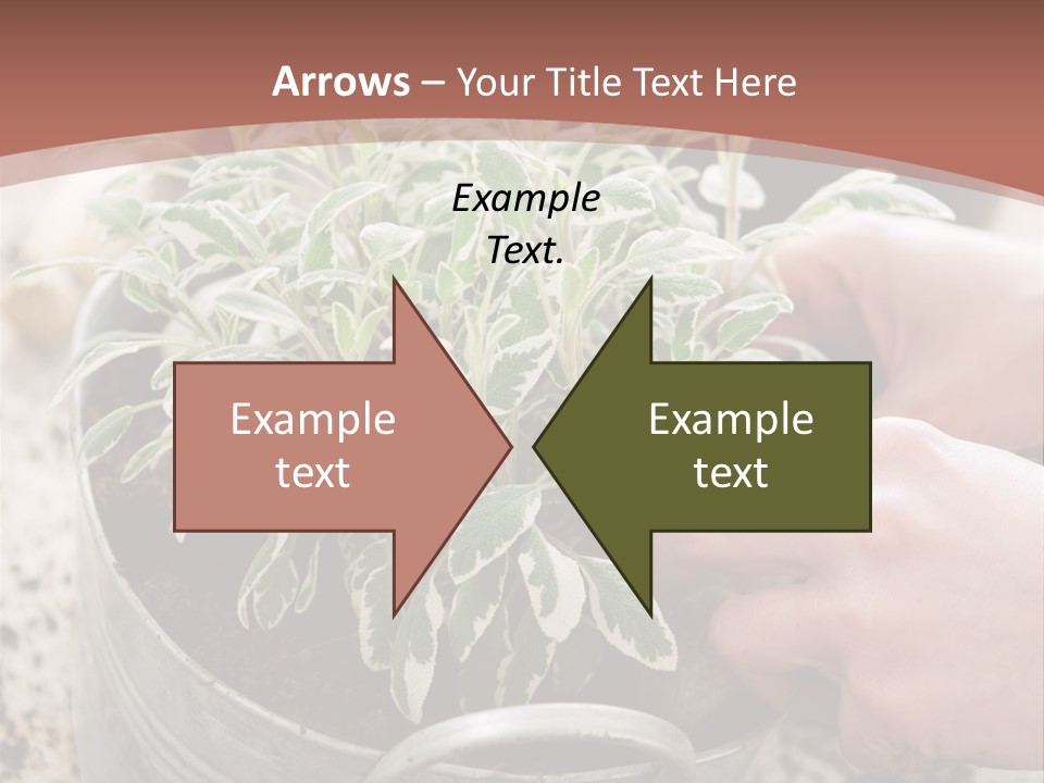 White Industry Climate PowerPoint Template