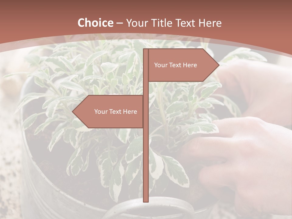 White Industry Climate PowerPoint Template