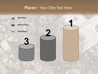 House Cool Supply PowerPoint Template