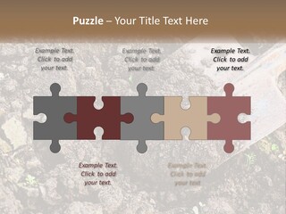 House Cool Supply PowerPoint Template