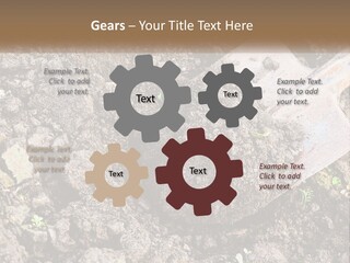 House Cool Supply PowerPoint Template