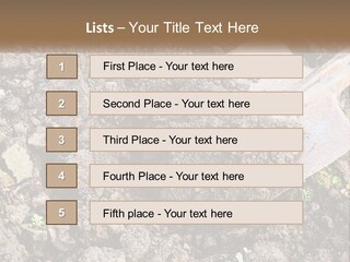 House Cool Supply PowerPoint Template