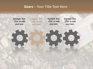 House Cool Supply PowerPoint Template