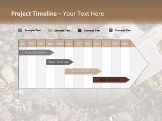 House Cool Supply PowerPoint Template