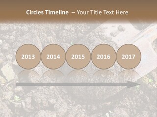 House Cool Supply PowerPoint Template