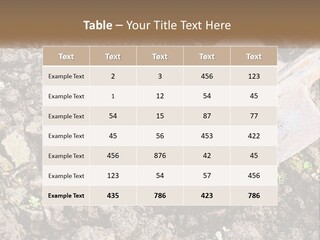 House Cool Supply PowerPoint Template