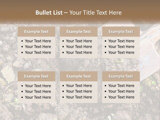 House Cool Supply PowerPoint Template