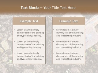 House Cool Supply PowerPoint Template