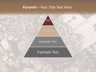 House Cool Supply PowerPoint Template