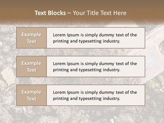 House Cool Supply PowerPoint Template