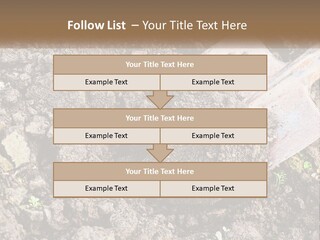 House Cool Supply PowerPoint Template